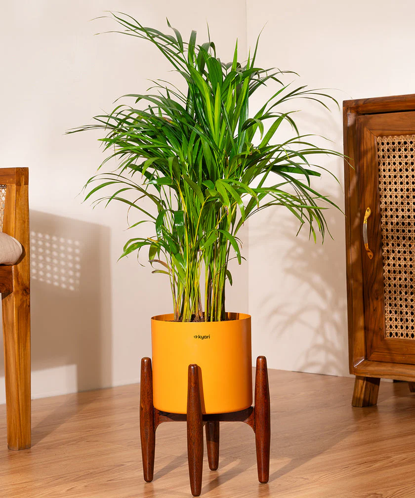 Product image 113