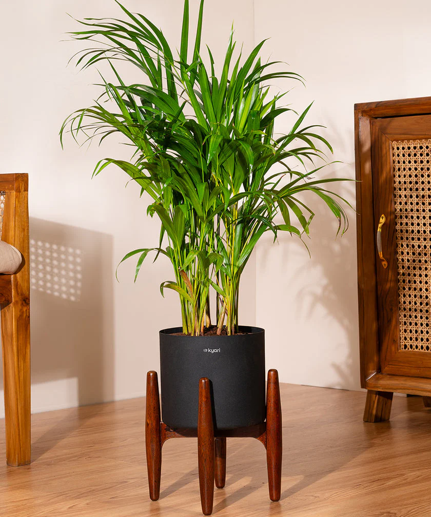 Product image 167