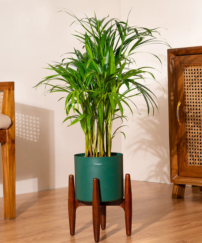 Product image 172