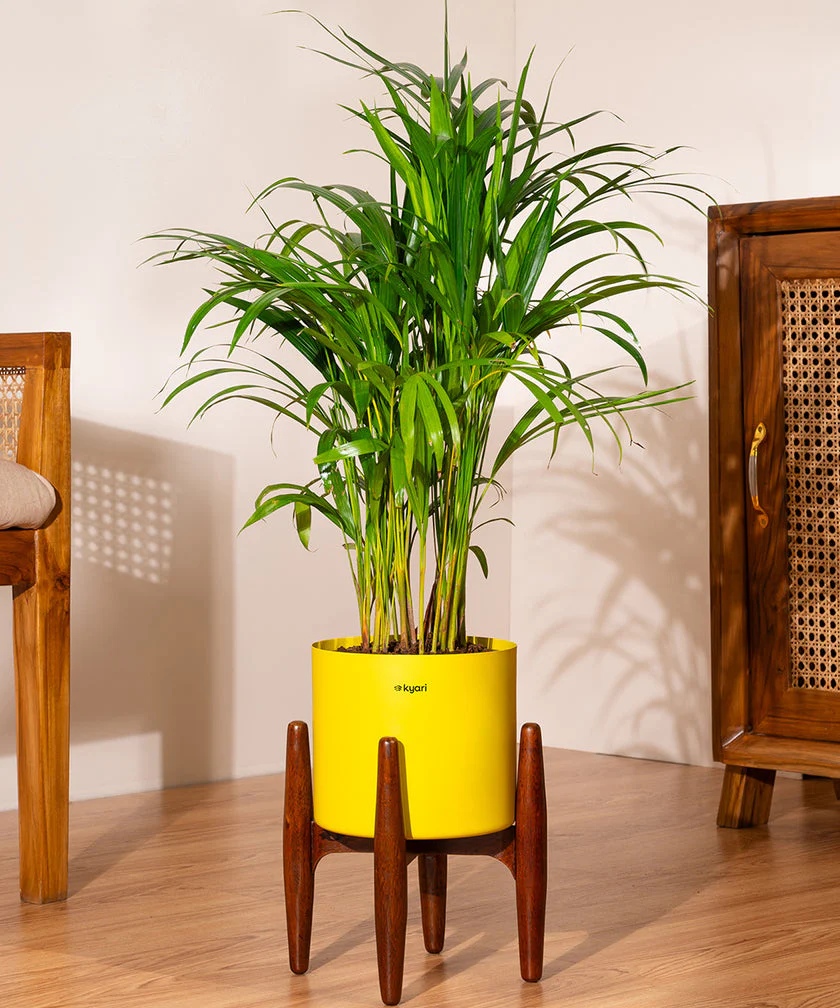 Product image 209