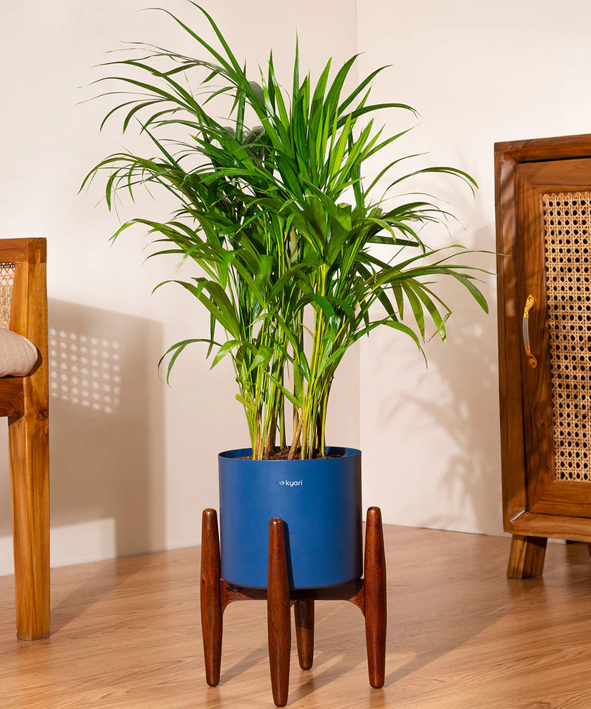 Product image 228