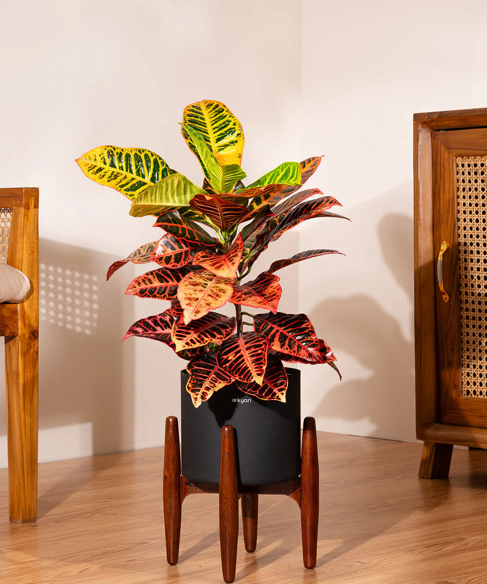 Product image 111