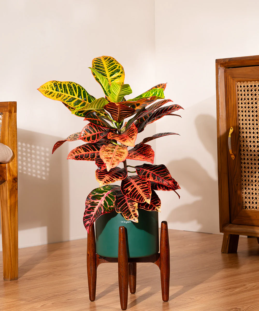 Product image 155