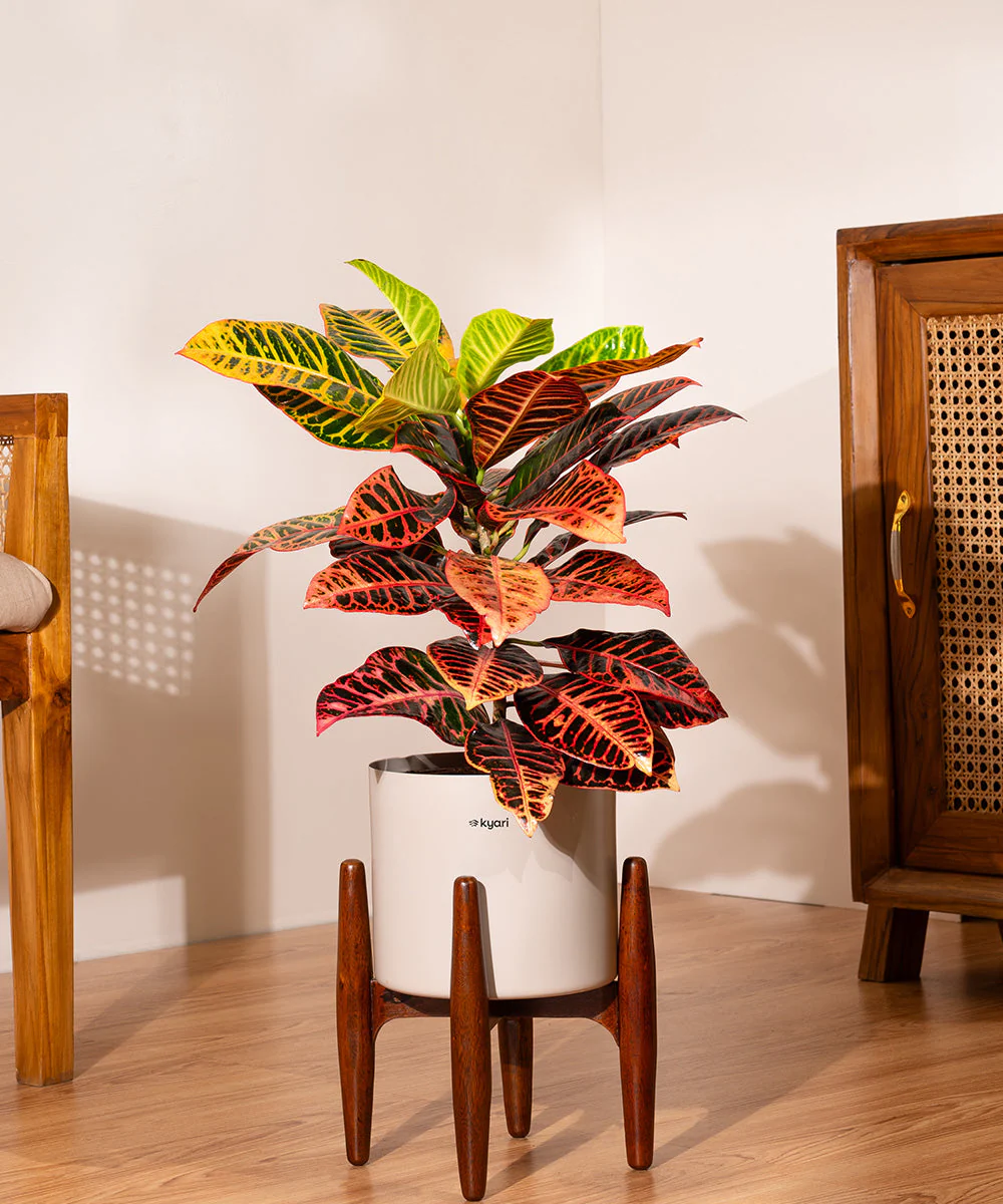 Product image 191