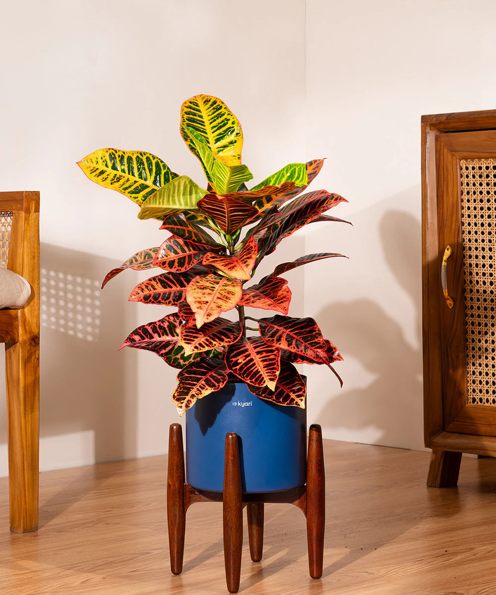 Product image 247