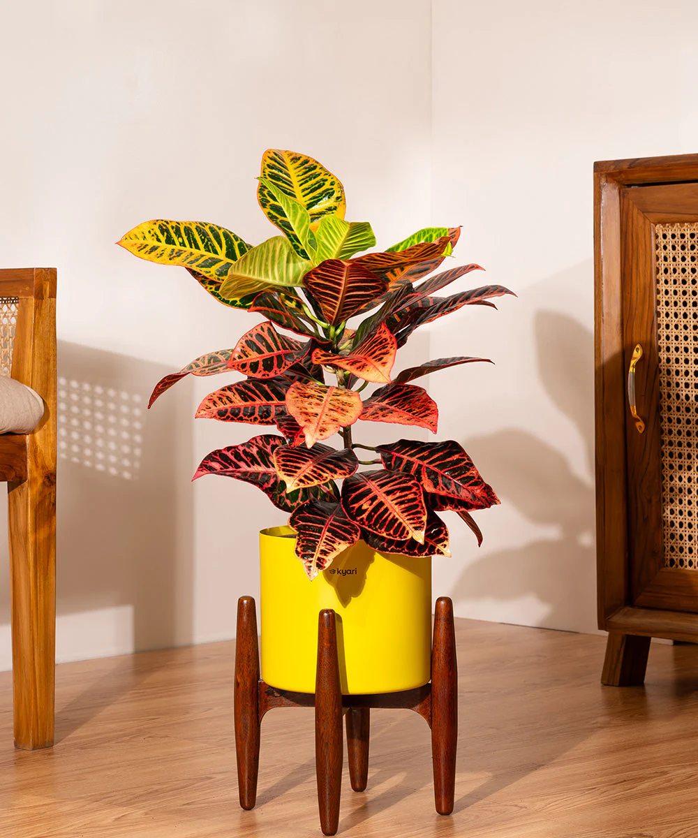 Product image 97