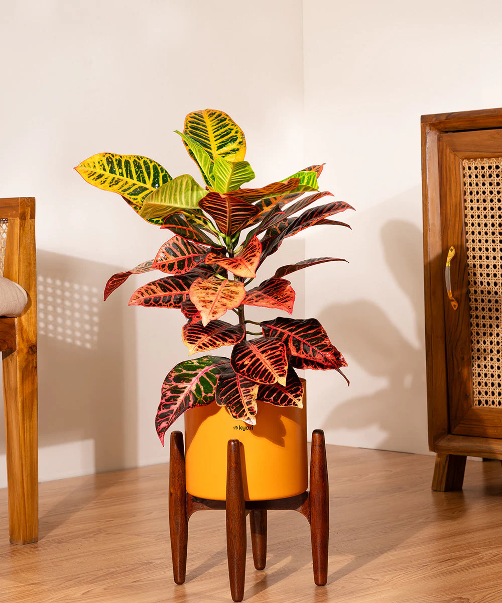 Product image 99
