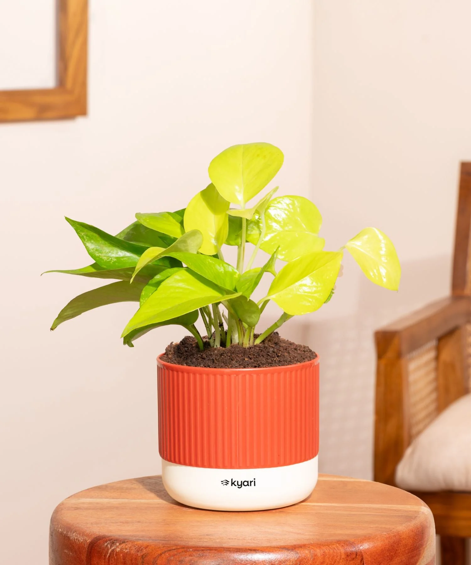 Product image 56
