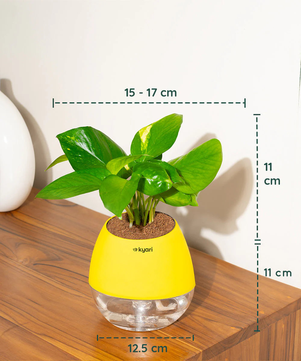 Product image 102