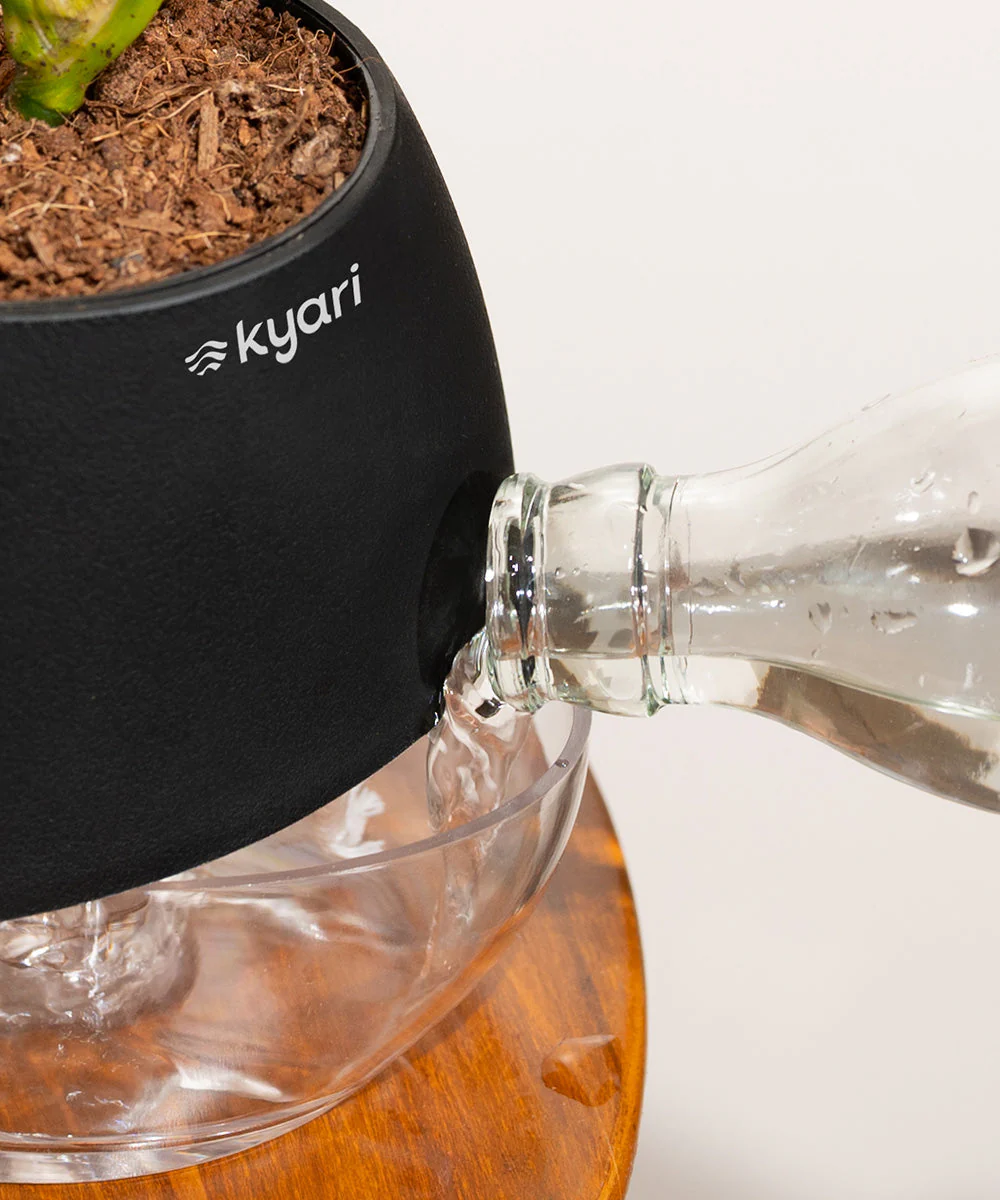 Product image 90