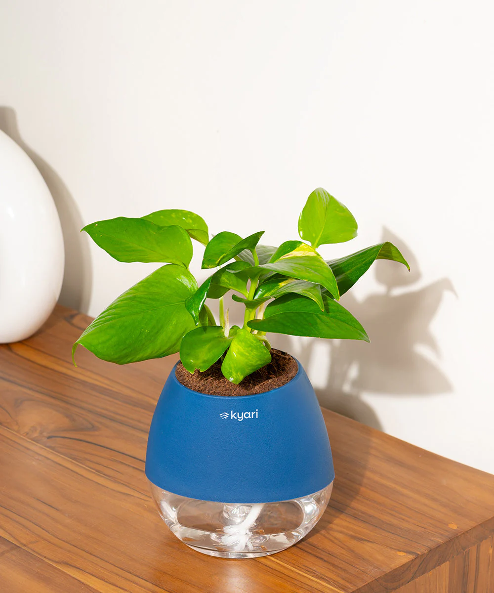 Product image 91