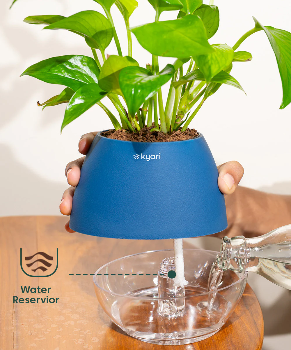 Product image 93
