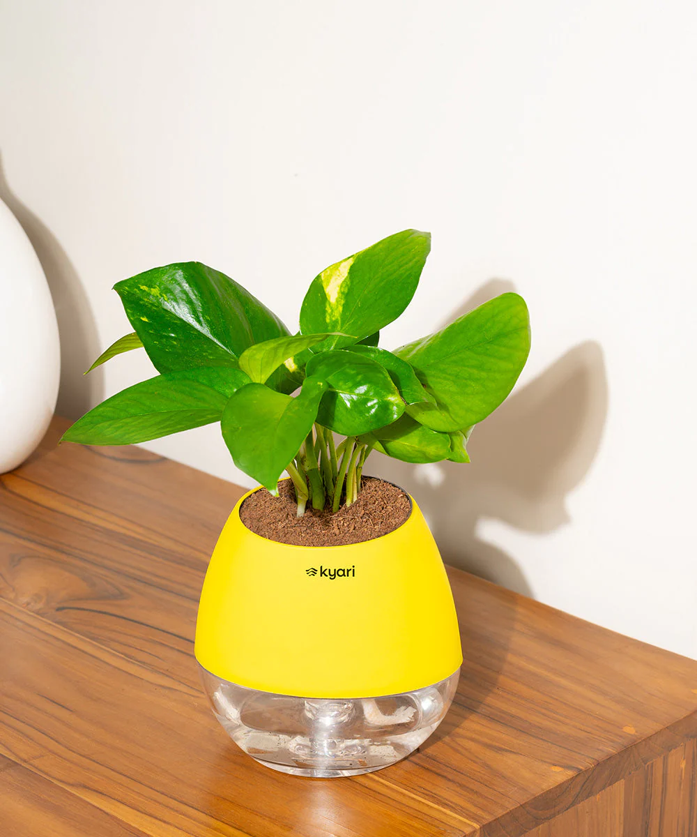 Product image 99