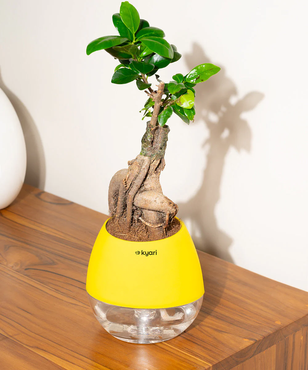 Product image 105
