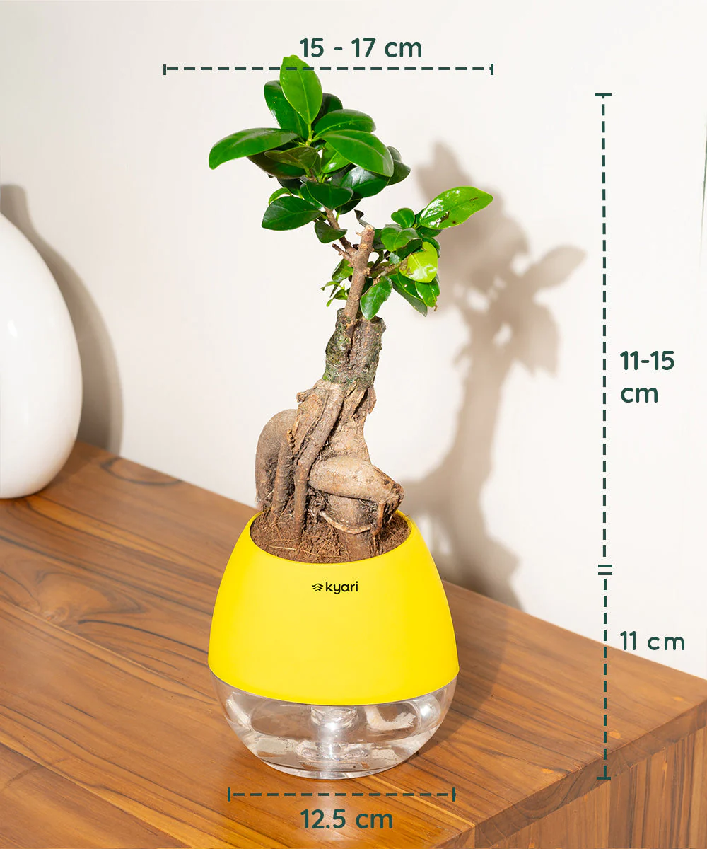 Product image 108