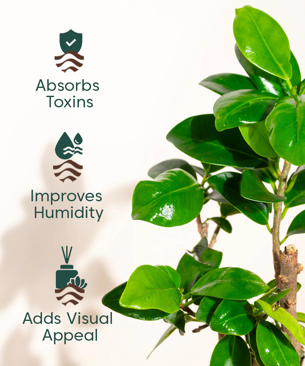 Product image 109