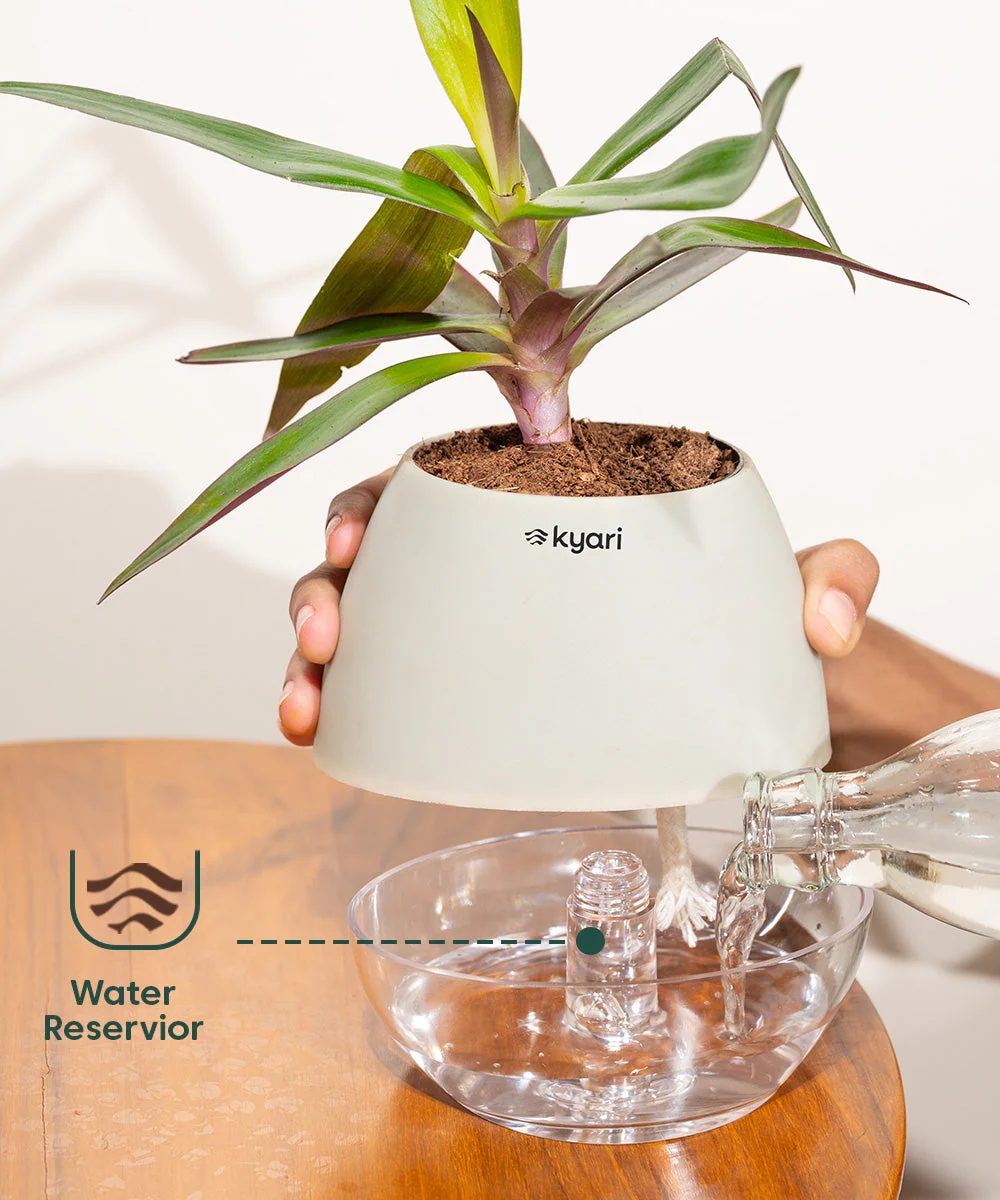 Product image 83