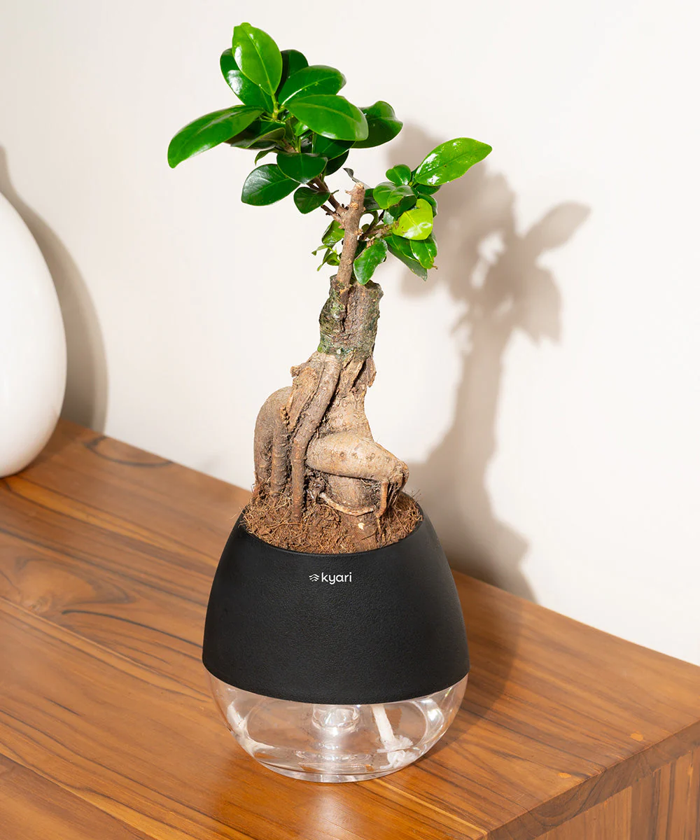 Product image 89
