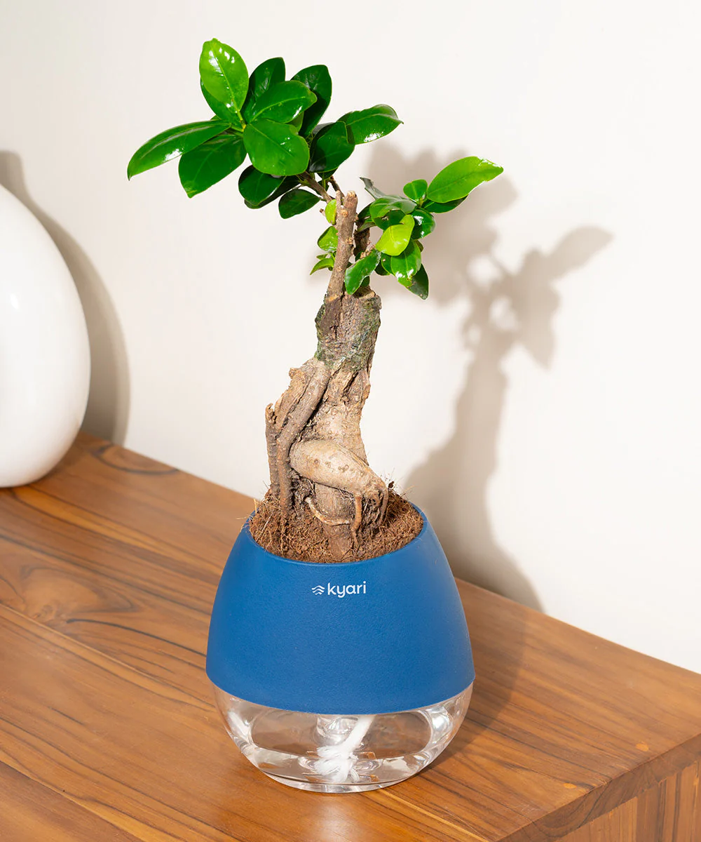 Product image 97