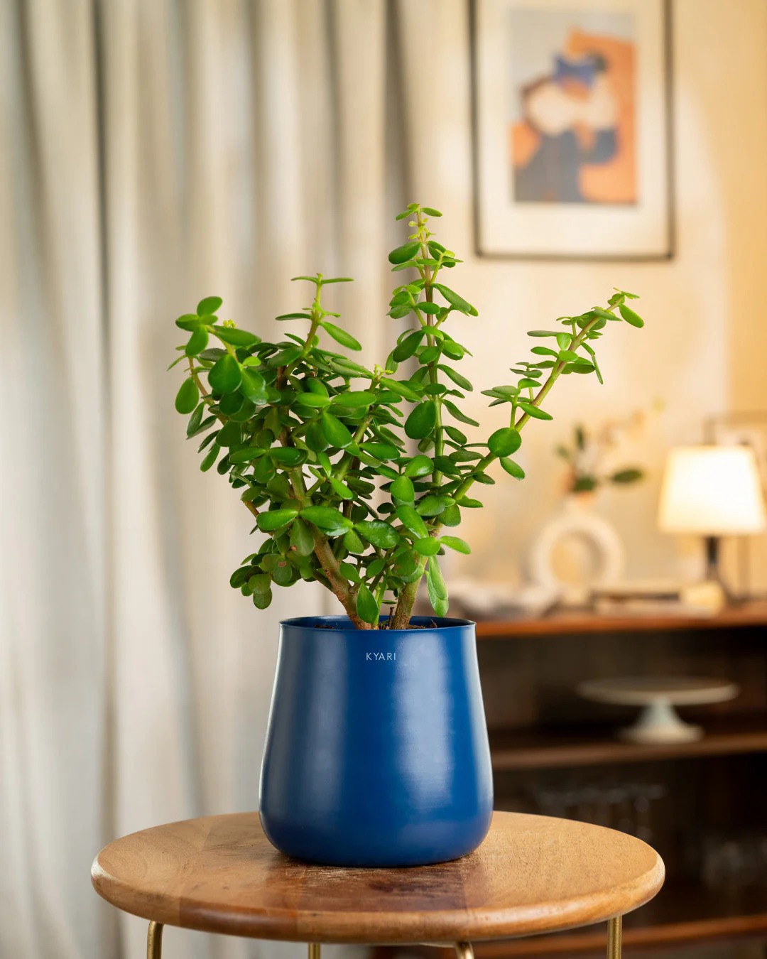Product image 197