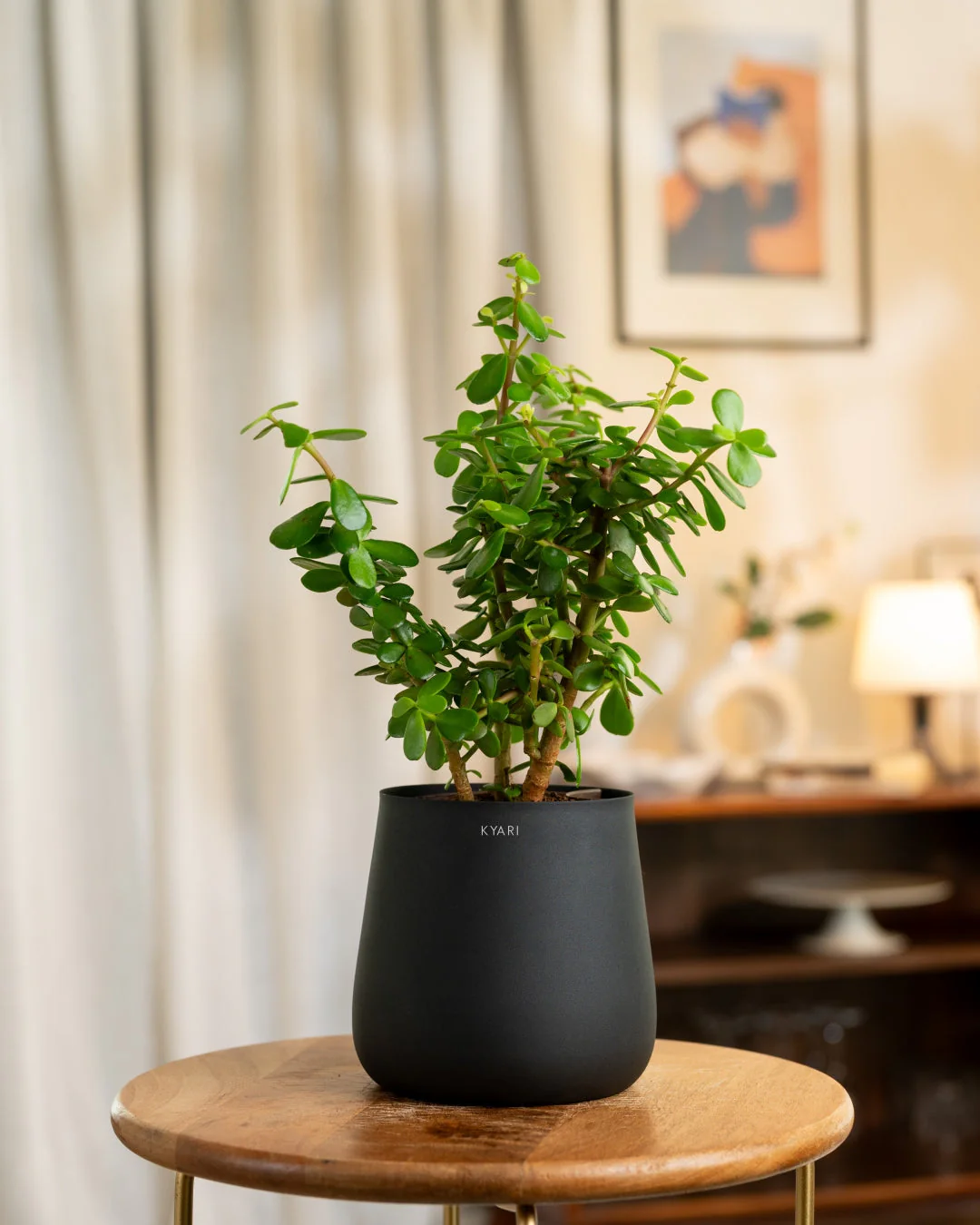 Product image 210