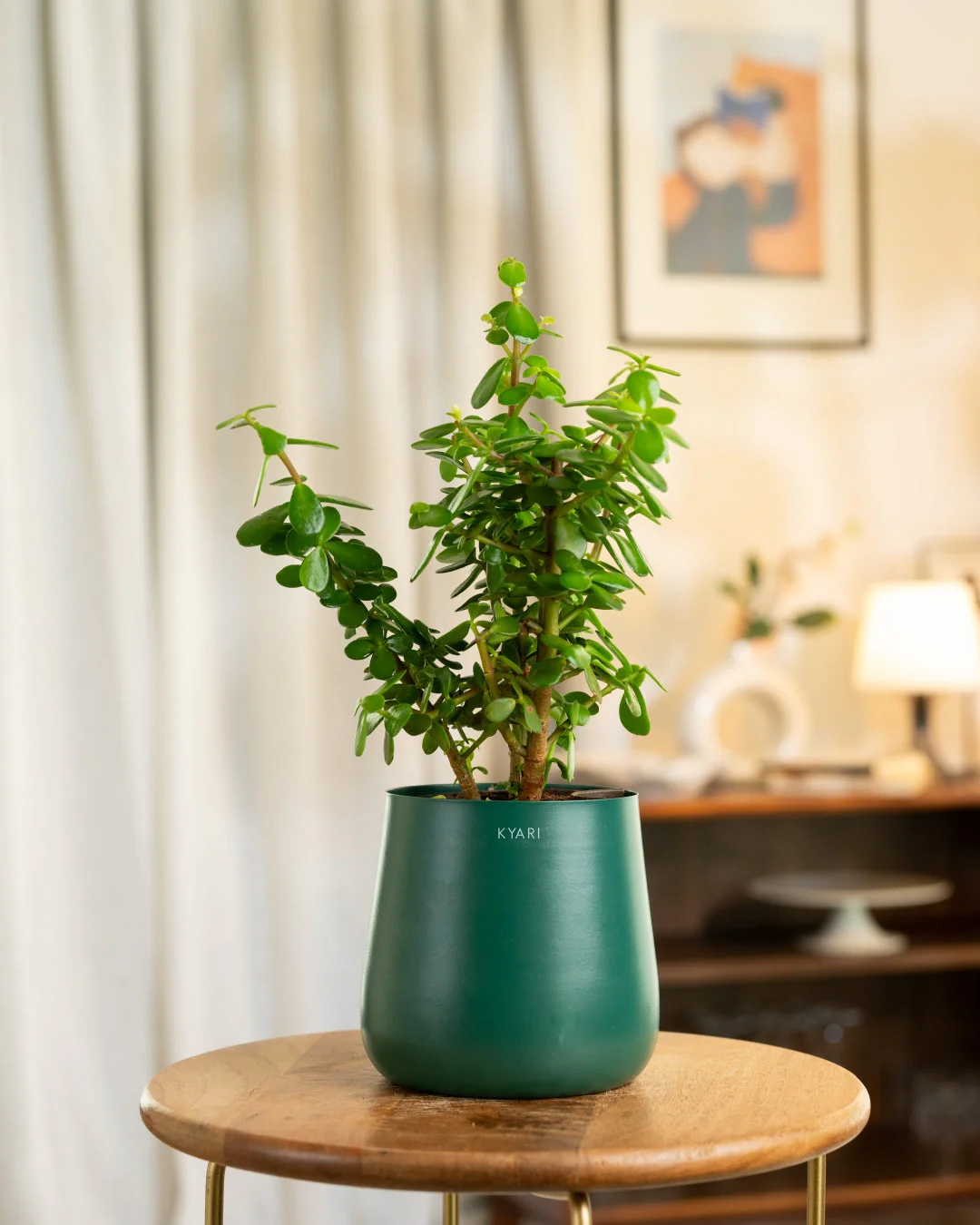 Product image 212