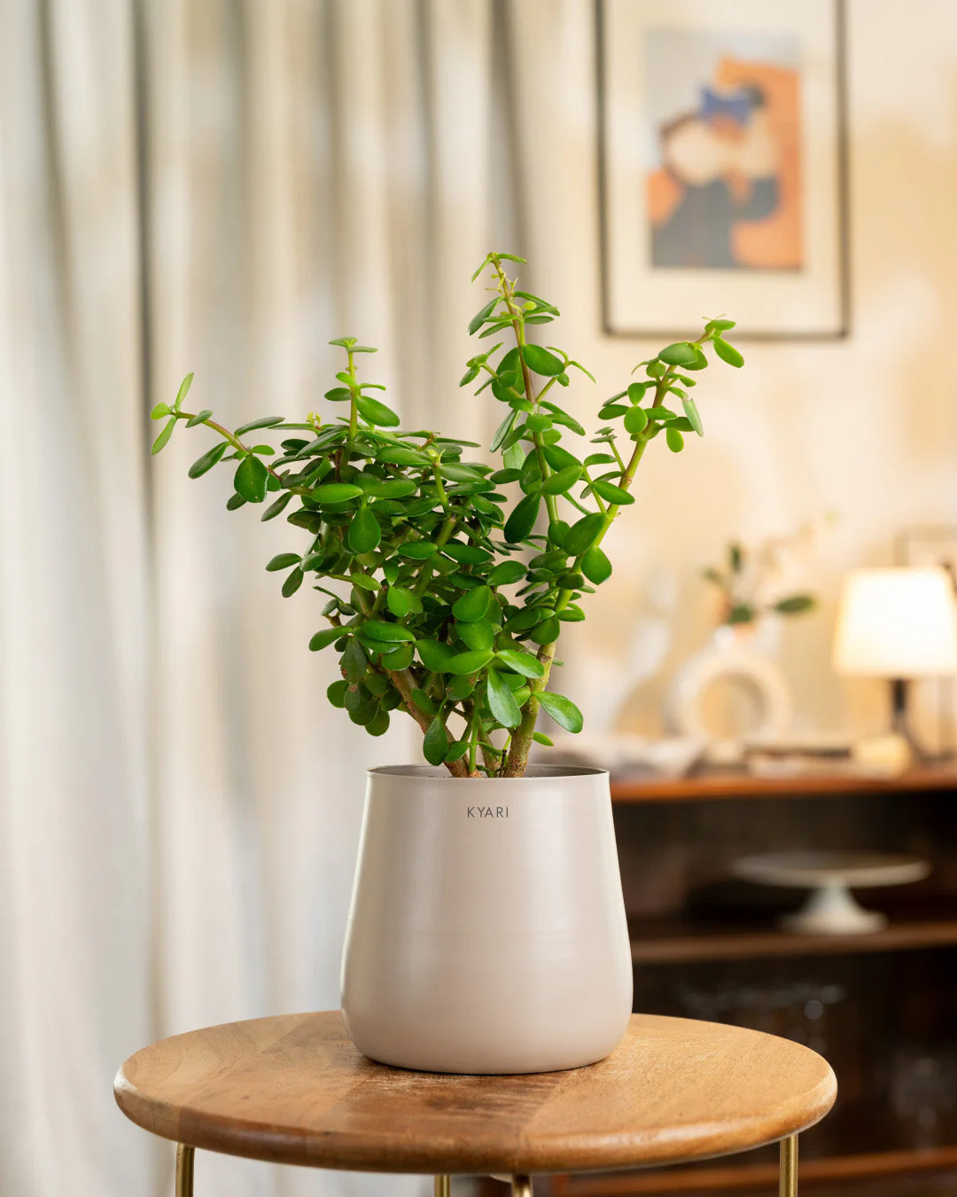 Product image 239