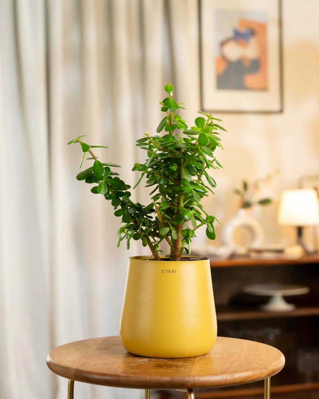 Product image 51