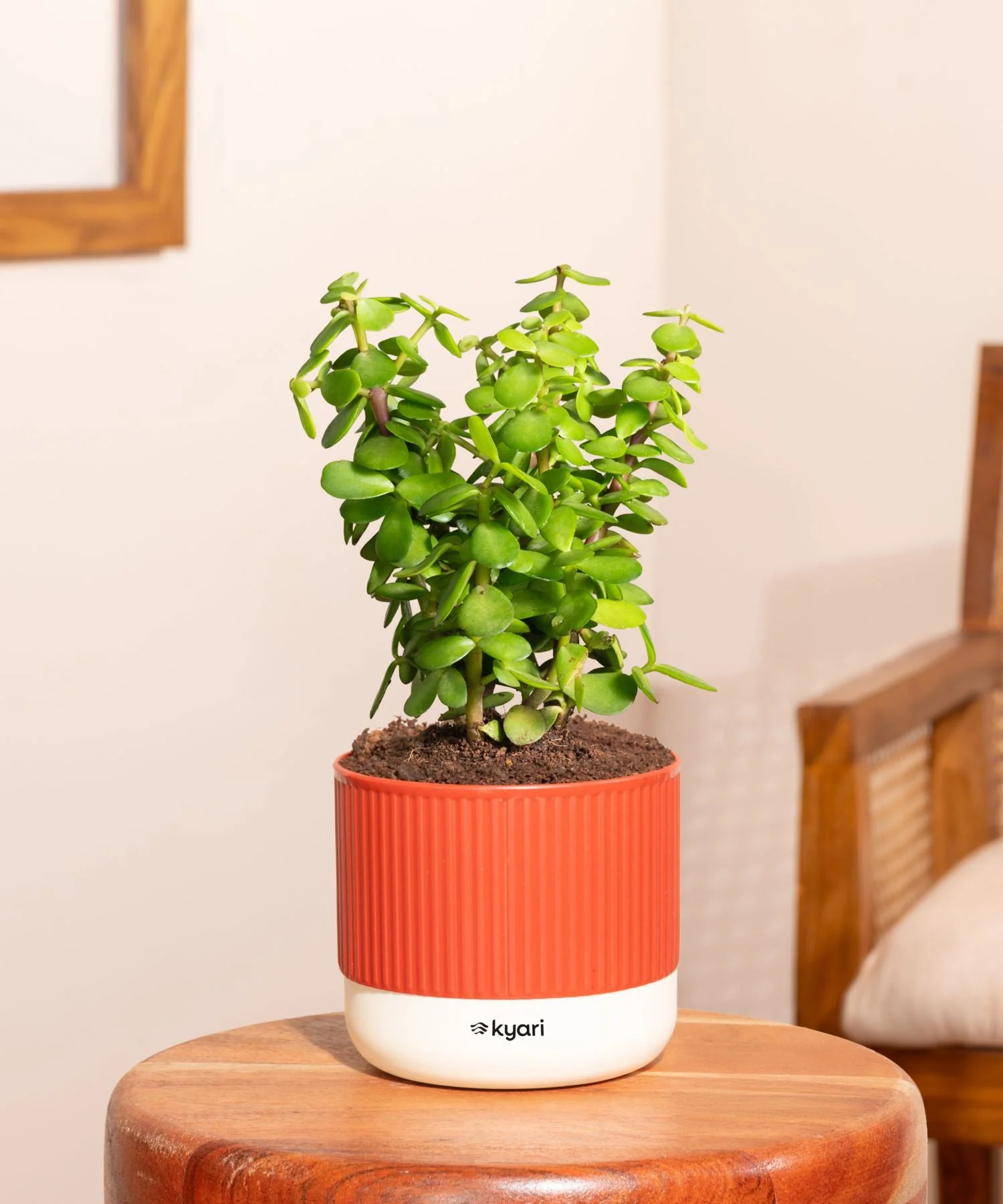 Product image 161