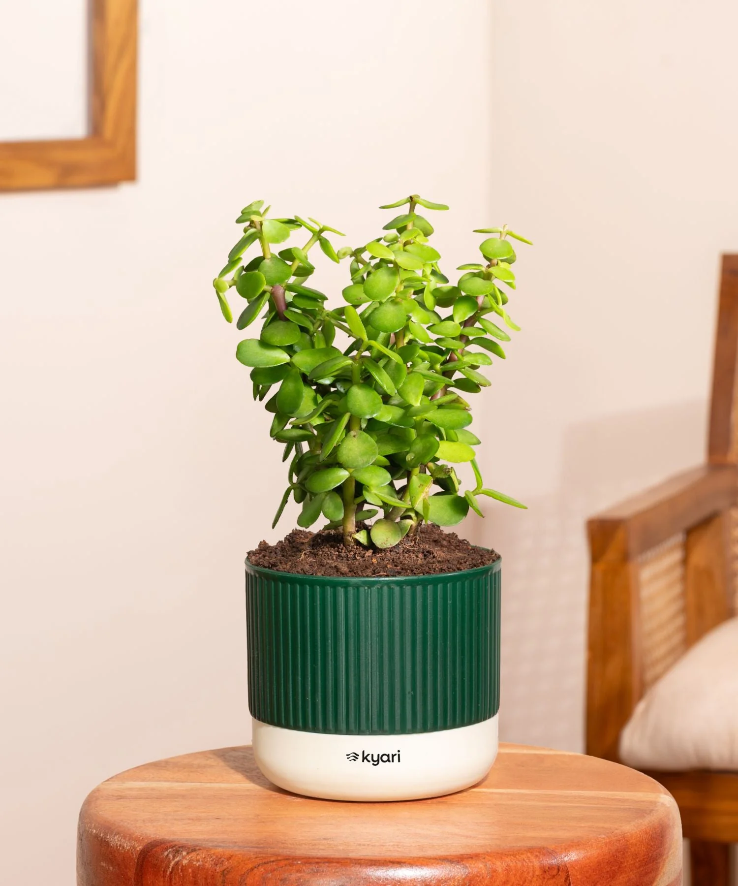 Product image 68