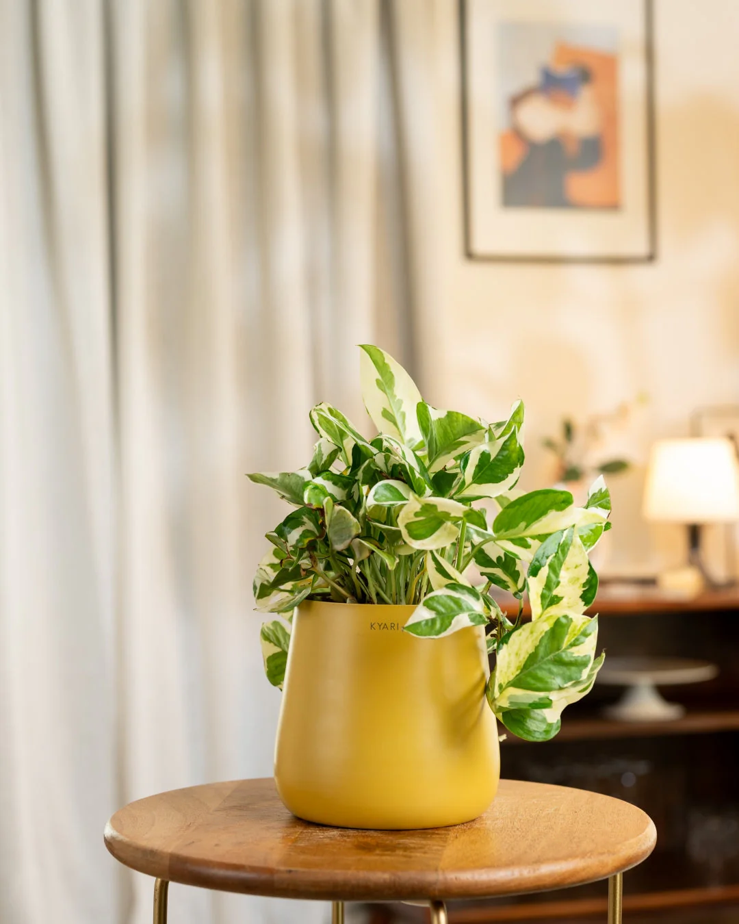 Product image 111