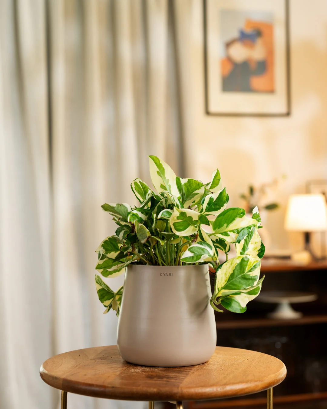 Product image 76