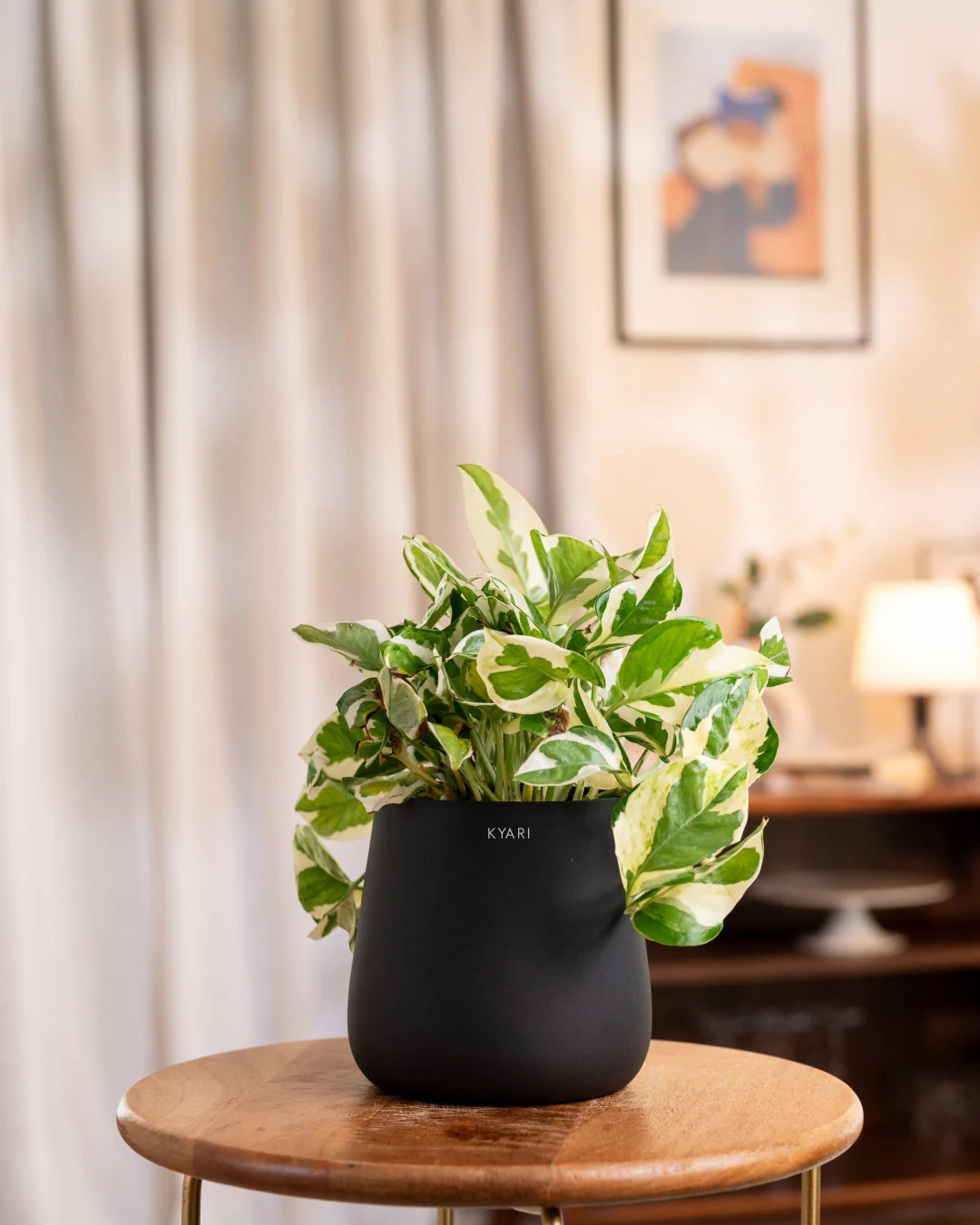 Product image 77