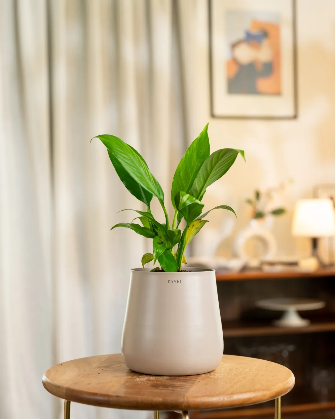 Product image 61