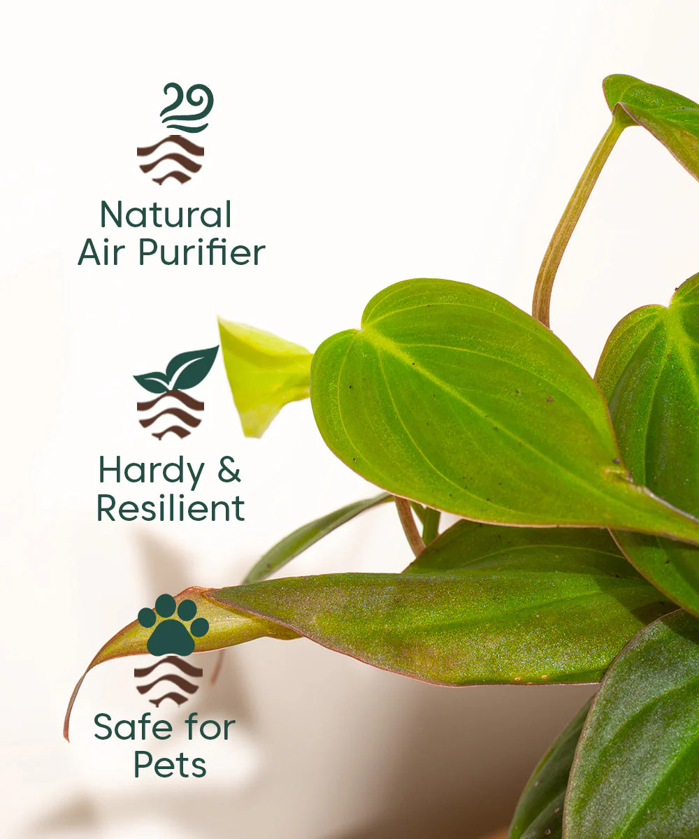 Product image 73