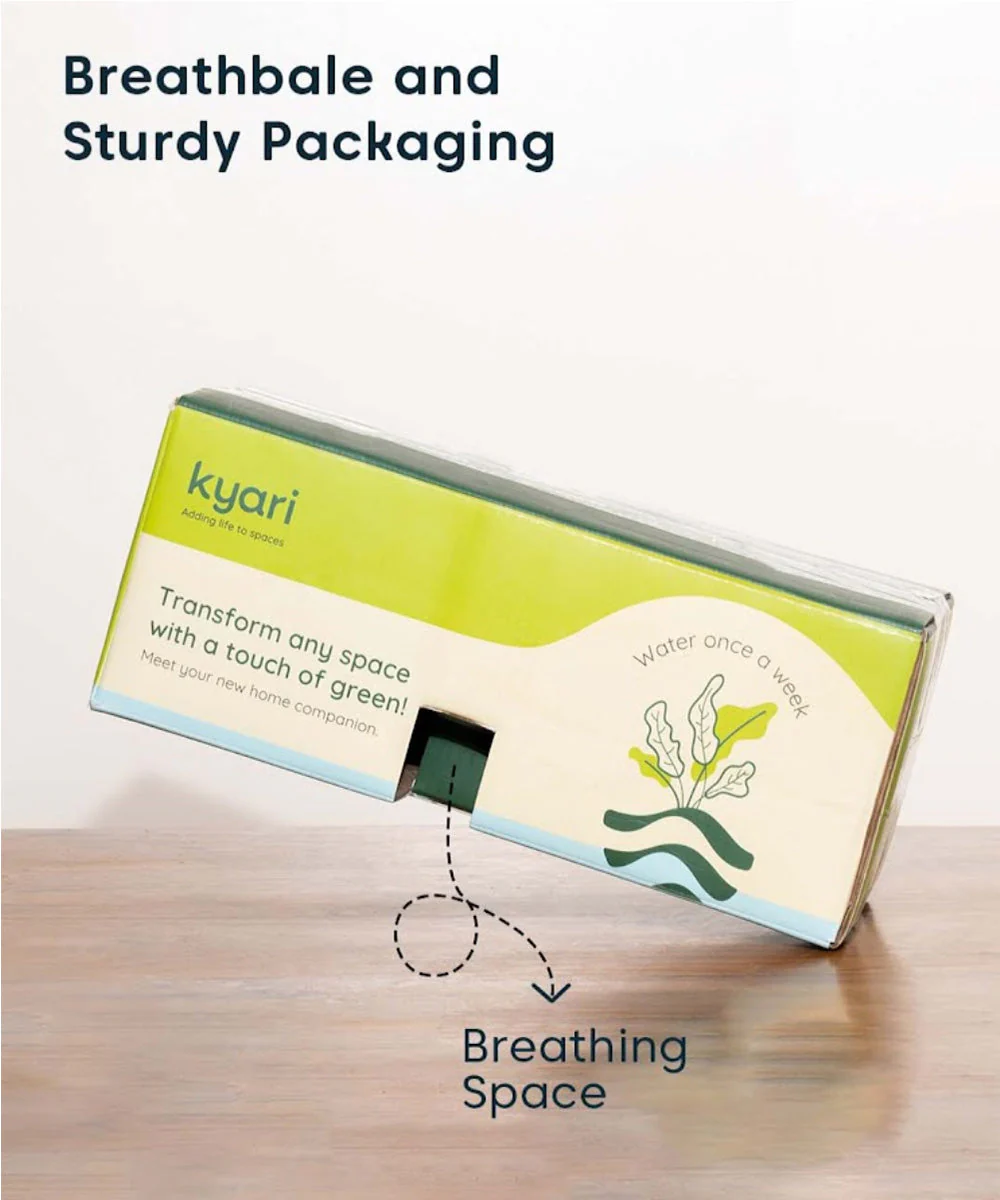 Product image 81