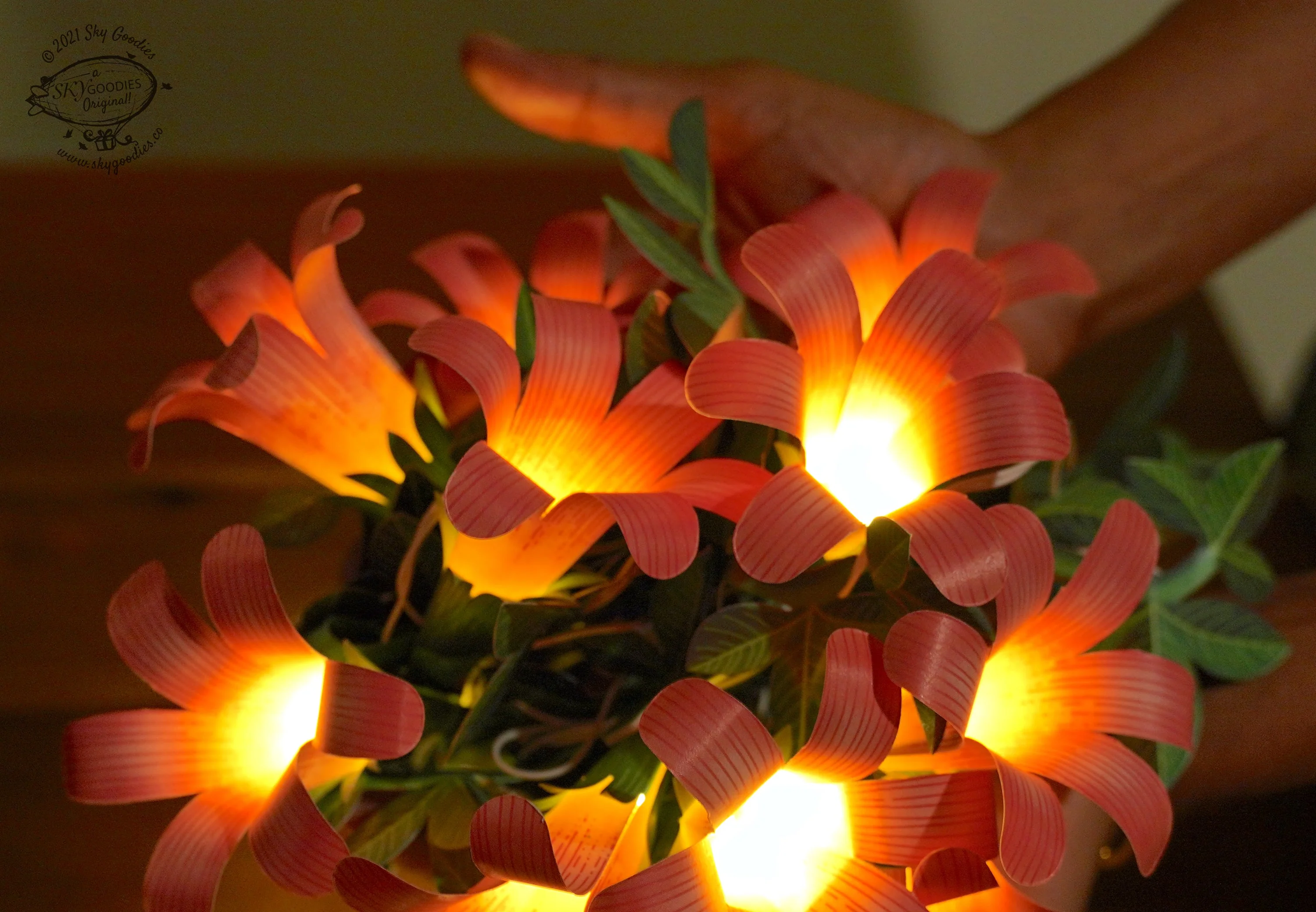 Product image 16