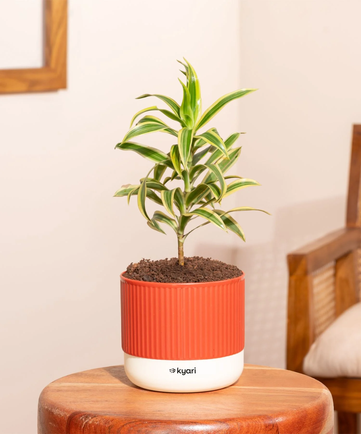 Product image 80